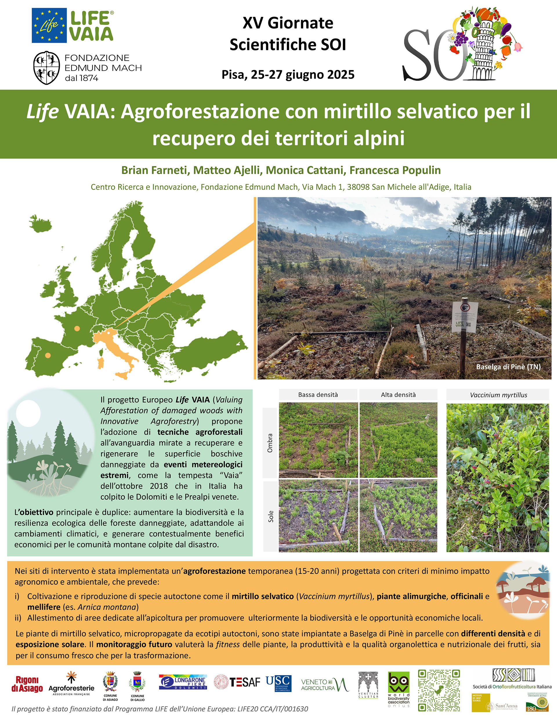 Life VAIA XV GIORNATE SCIENTIFICHE SOI 2025