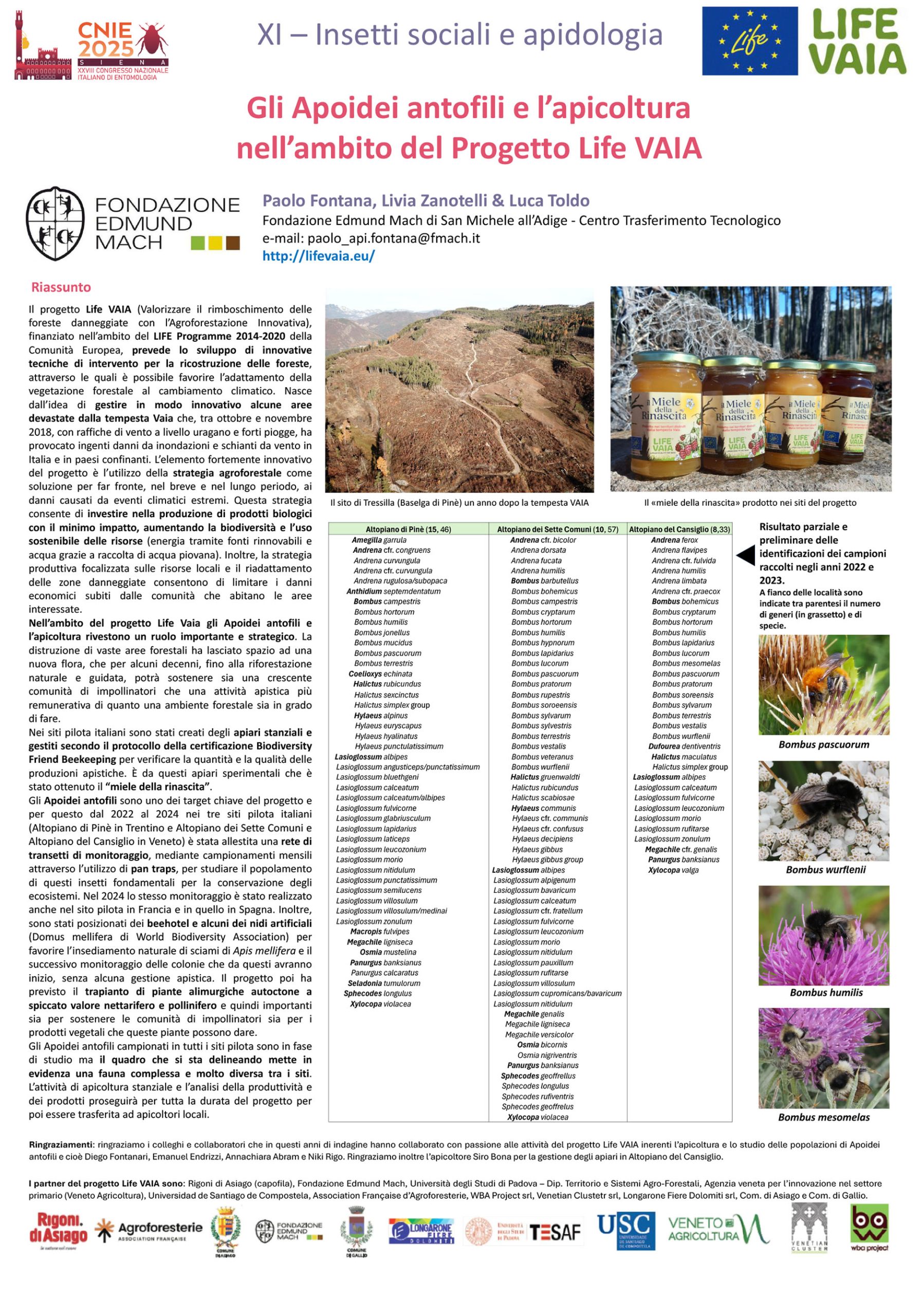 POSTER CNIE 2025 Vaia FONTANA et al CNIE Siena